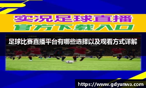 先锋娱乐官网