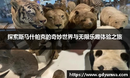 探索斯马什帕克的奇妙世界与无限乐趣体验之旅