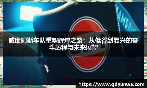 威廉姆斯车队重塑辉煌之路：从低谷到复兴的奋斗历程与未来展望