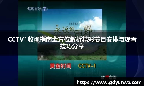 先锋2娱乐