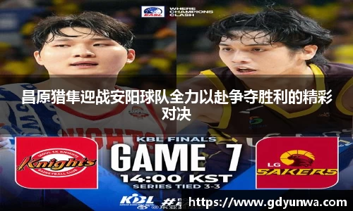 昌原猎隼迎战安阳球队全力以赴争夺胜利的精彩对决