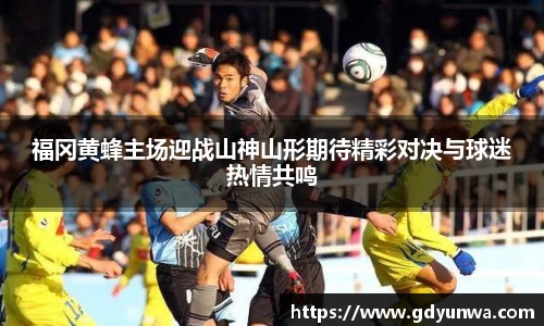 福冈黄蜂主场迎战山神山形期待精彩对决与球迷热情共鸣